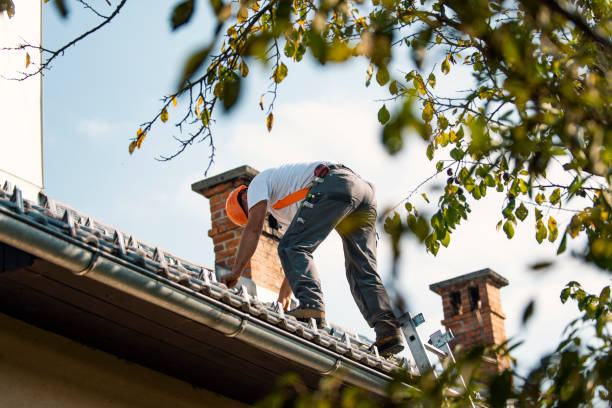 Best Roof Leak Repair  in Brookville, IN