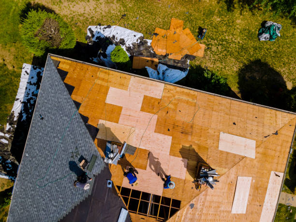 Best Commercial Roofing Services  in Brookville, IN